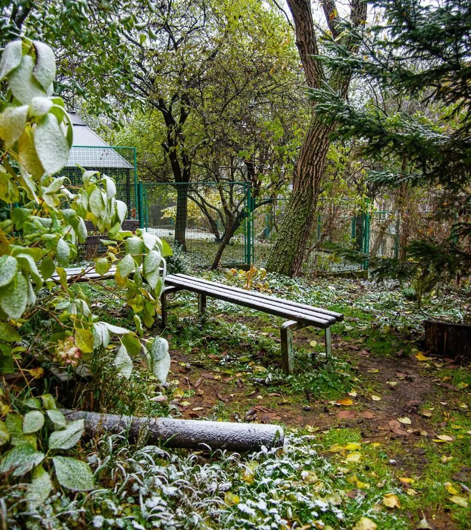 Котляревського Апартамент З Садом Lviv Appartement